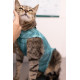 Haina Postoperatorie pentru Pisici DRY LIGHT SUPREME CAT Verde nr. 4 (5–7 kg), Pet Med